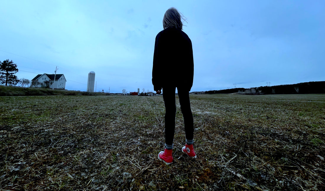 Mouron-des-champs--Photo-Mathieu-Vachon