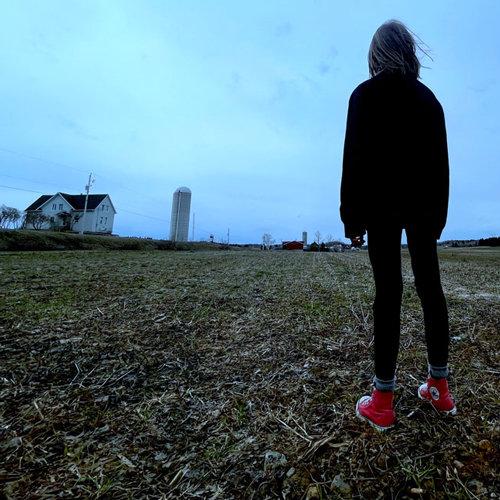 Mouron-des-champs--Photo-Mathieu-Vachon