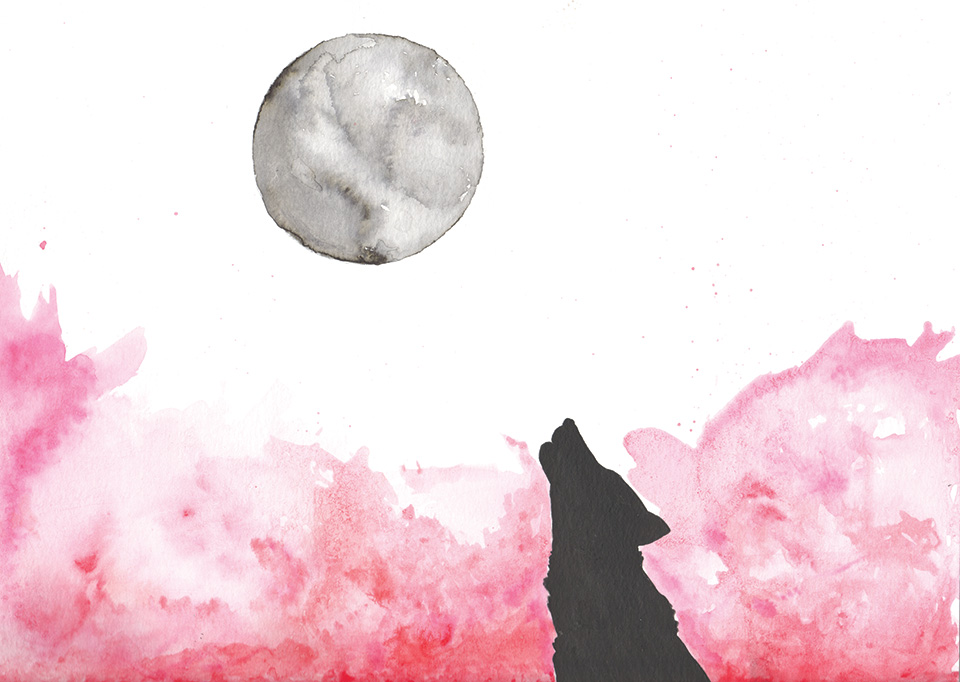 Ninauass33-pakua-shapi-cmyk-copie